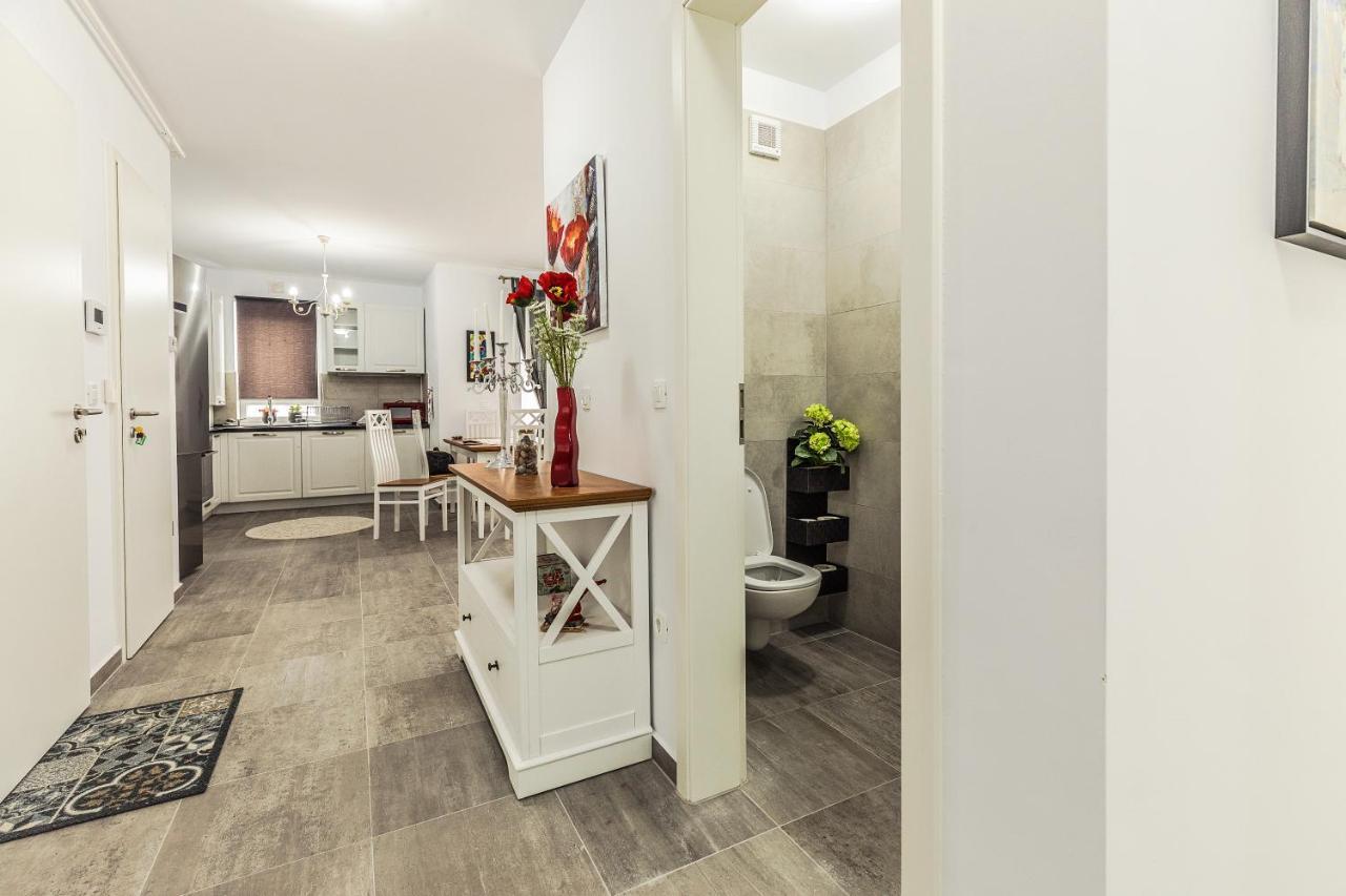 Elegant Sophia'S Apartment Брашов Экстерьер фото