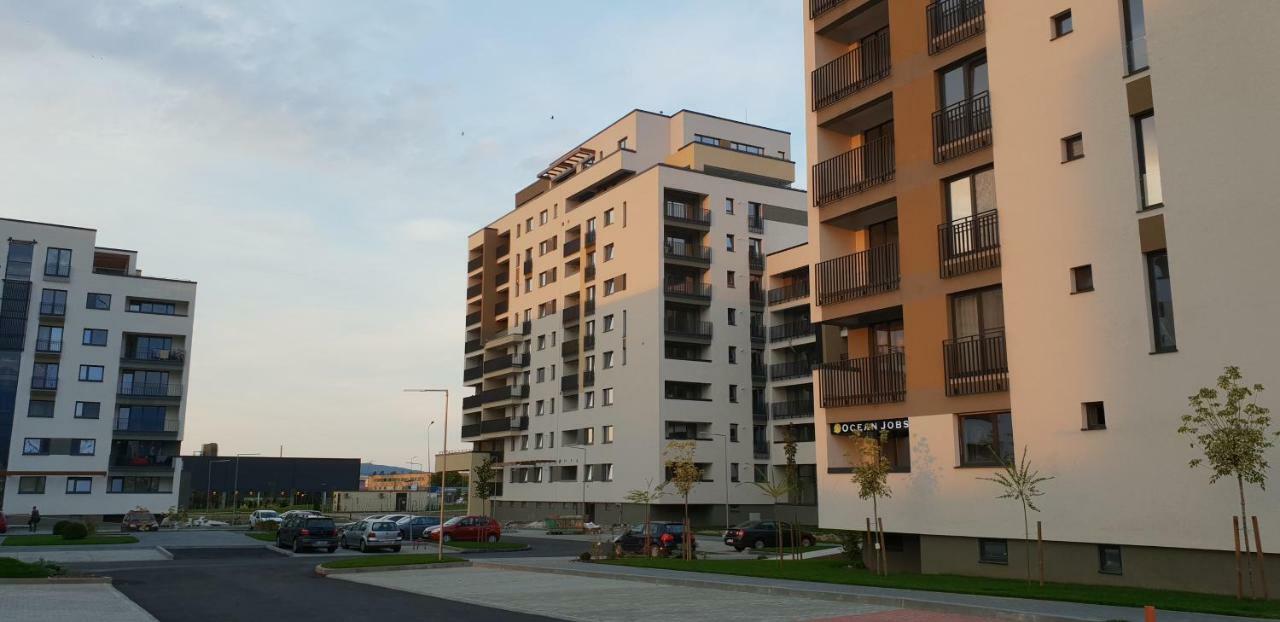 Elegant Sophia'S Apartment Брашов Экстерьер фото